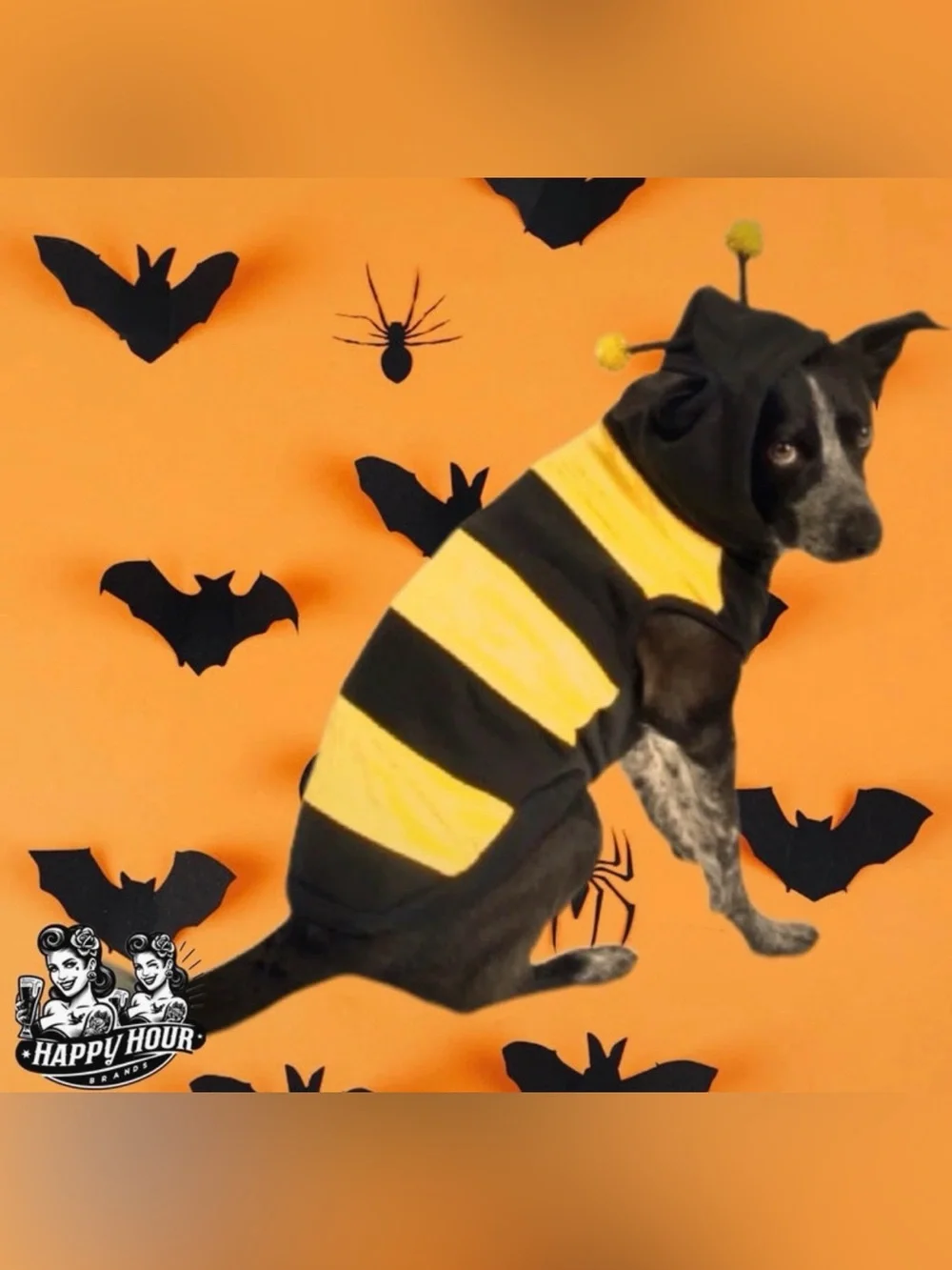 Dog Bumblebee Costume Size Medium Halloween Pet Outfit